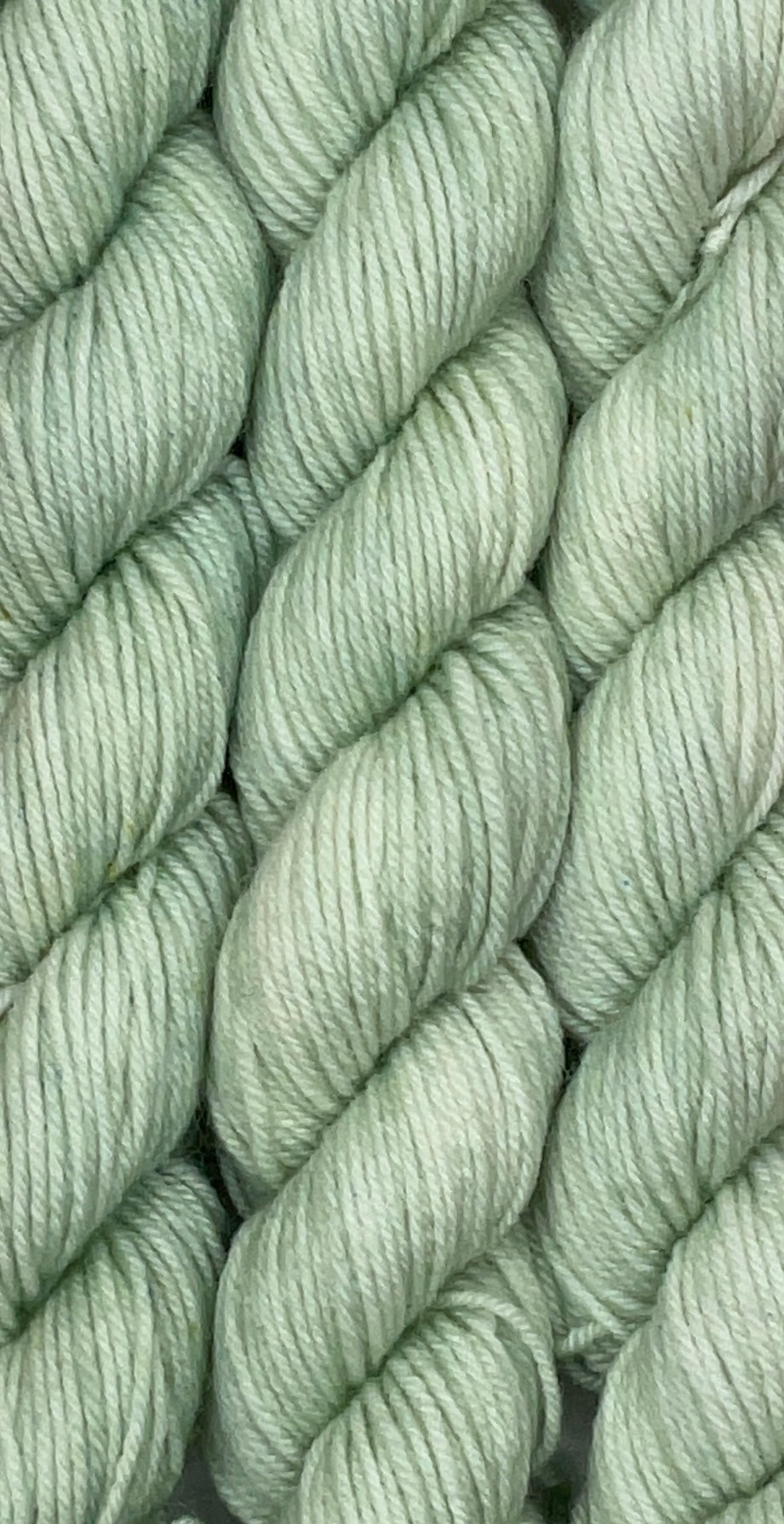 Mini Fingering Pistachio Skein