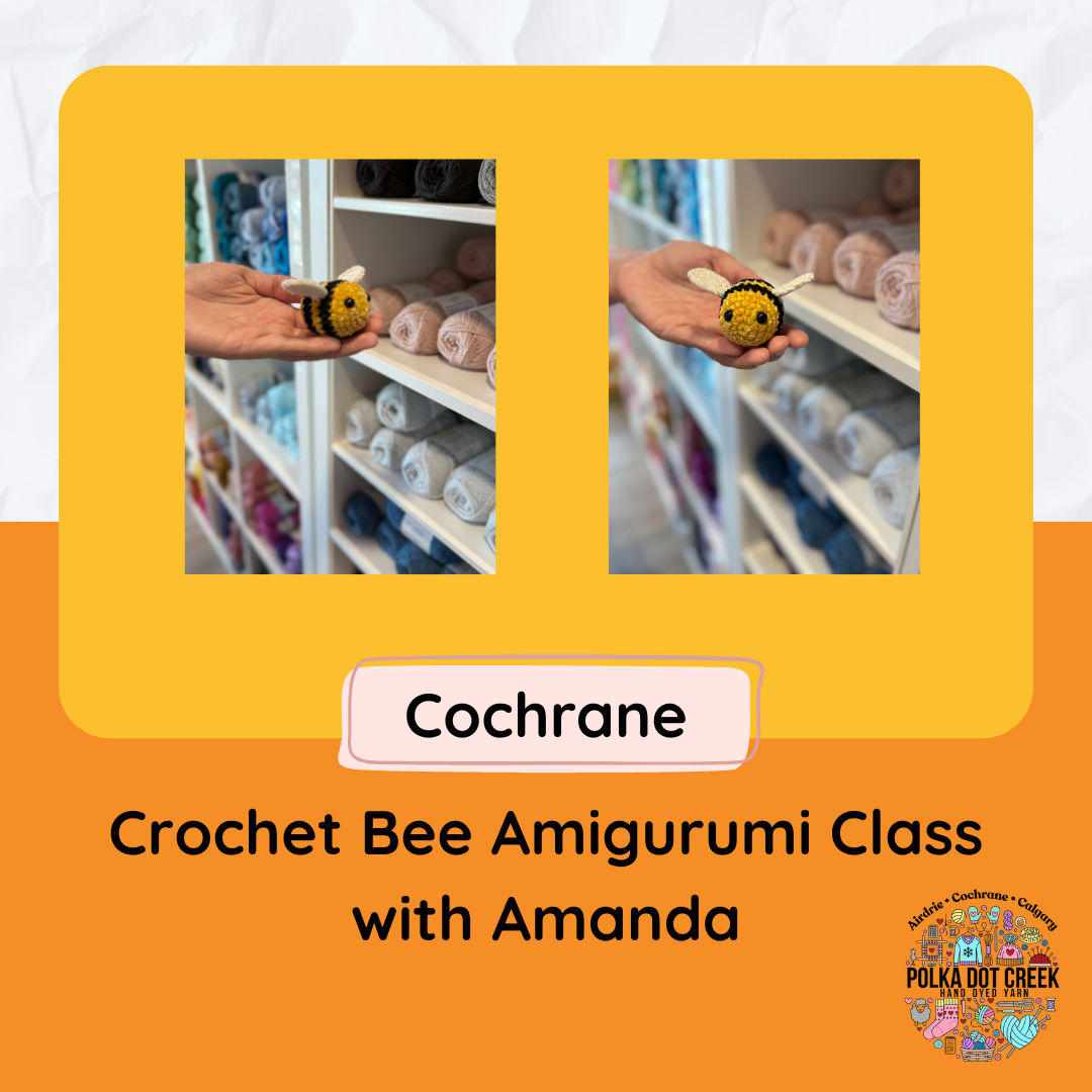 Amanda's Amigurumi Crochet Class - Cochrane