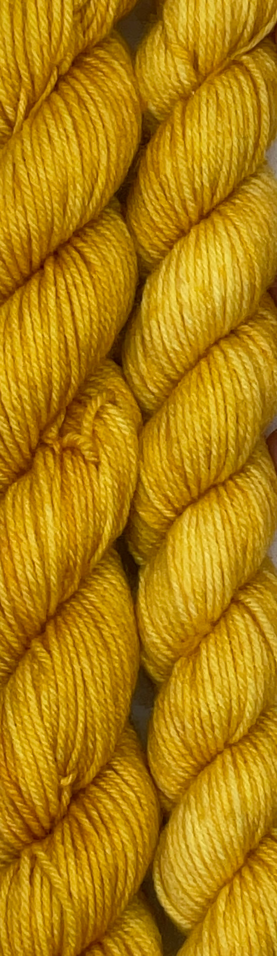 Mini Gold Fingering Skein