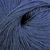 Cascade 220 Superwash - Colonial Blue Heather (904)