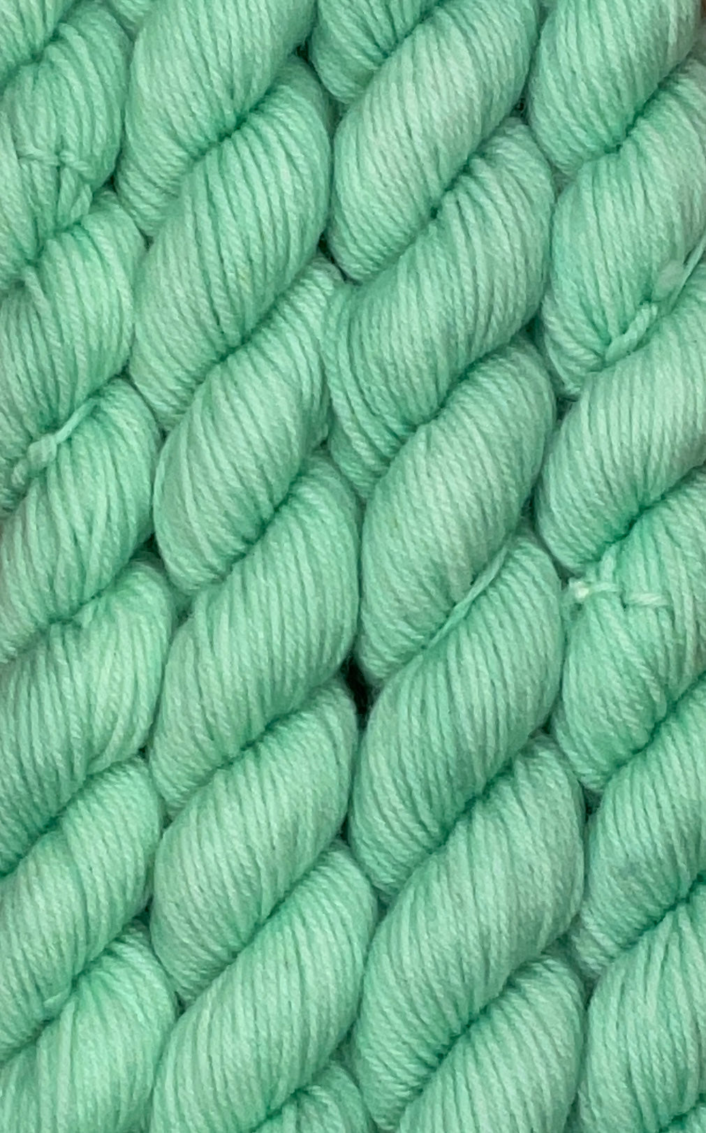 Mini Shamrock Shake Fingering Skein