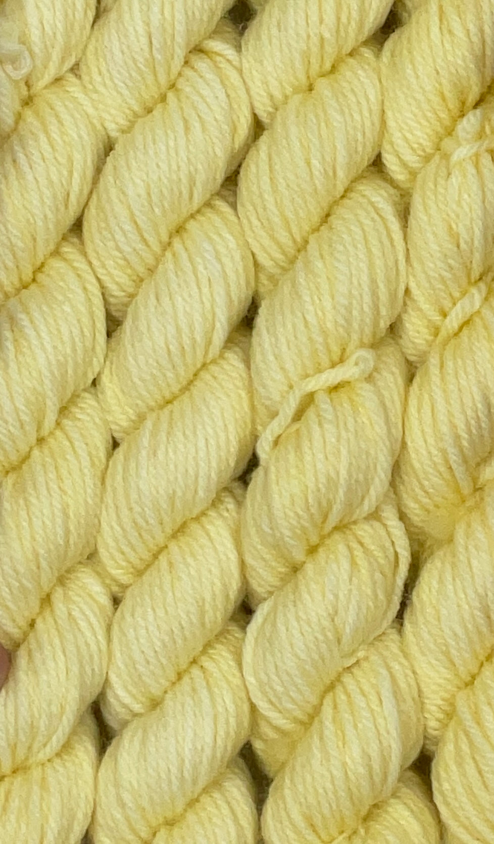 Mini DK Butter Skein