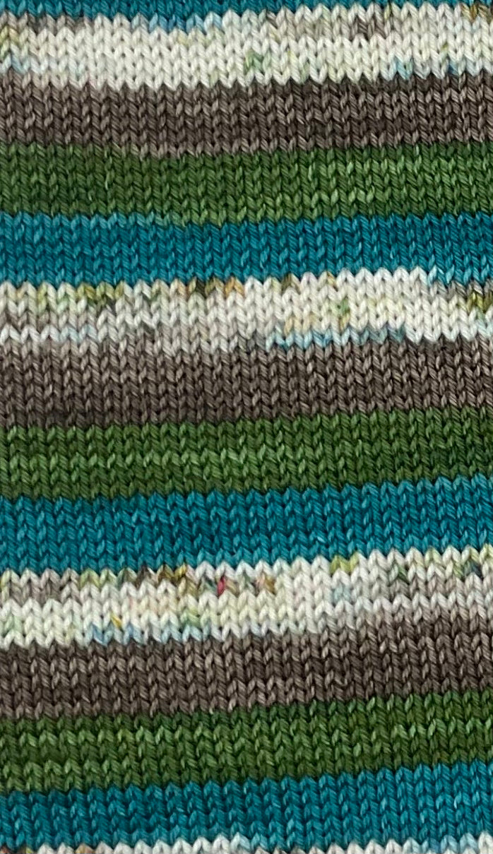 DK Birch Self Striping Sock Set