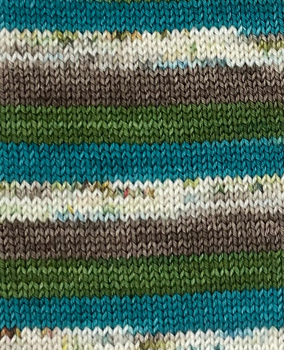 Birch Fingering Self-Striping Sock Set