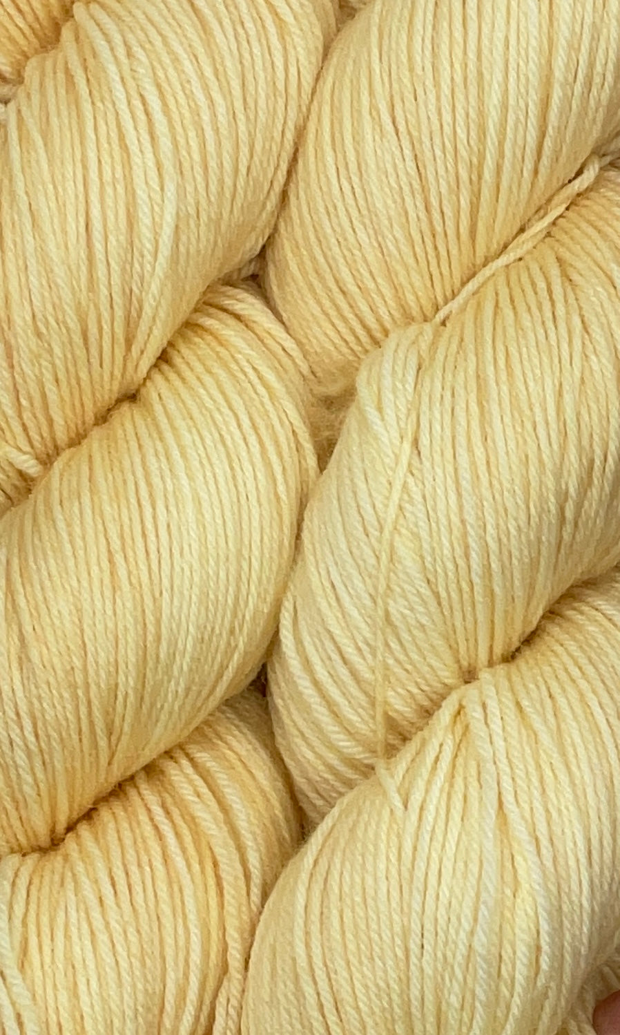 Champagne Fingering Skein