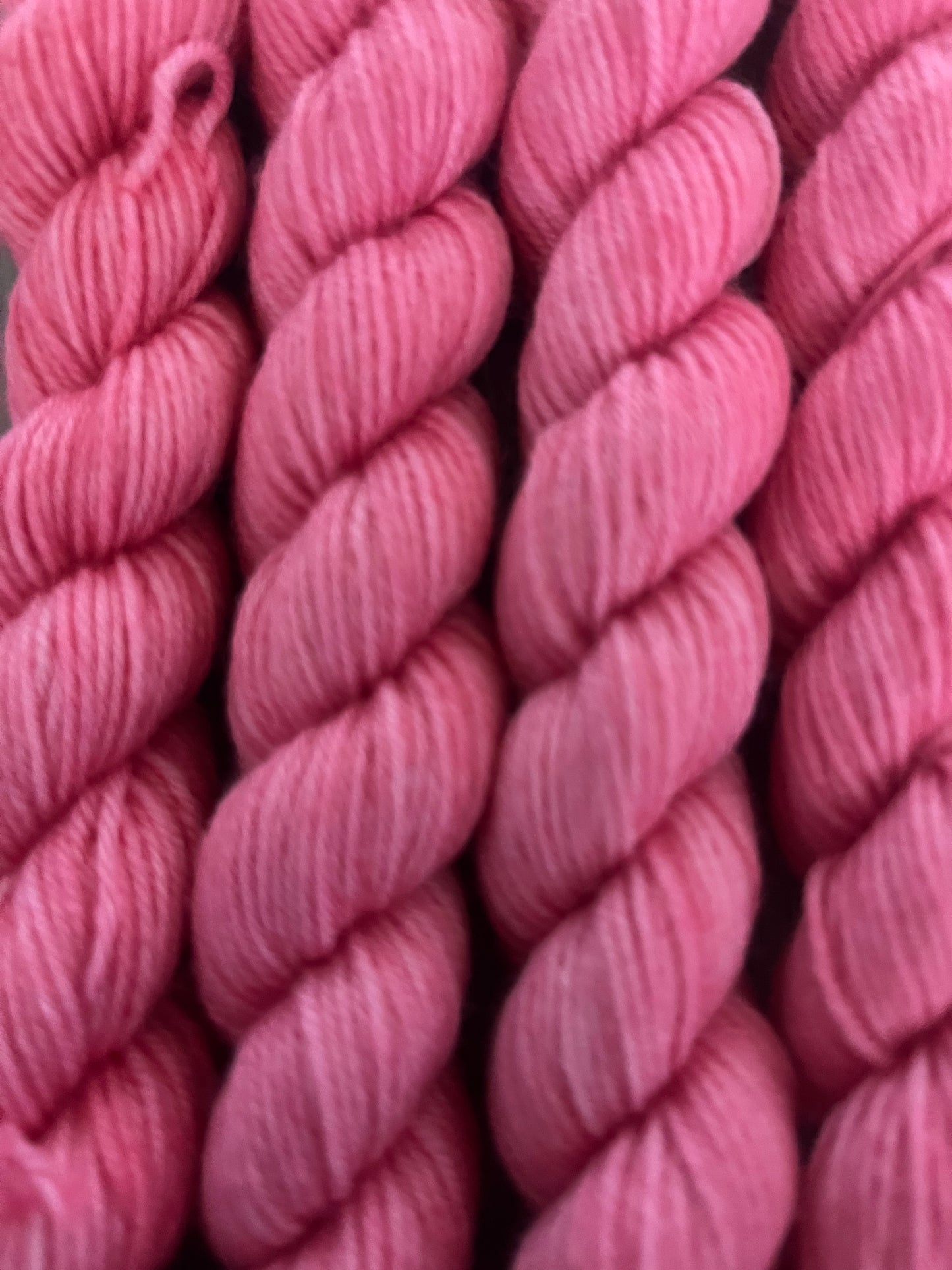 Mini Carnation Fingering Skein