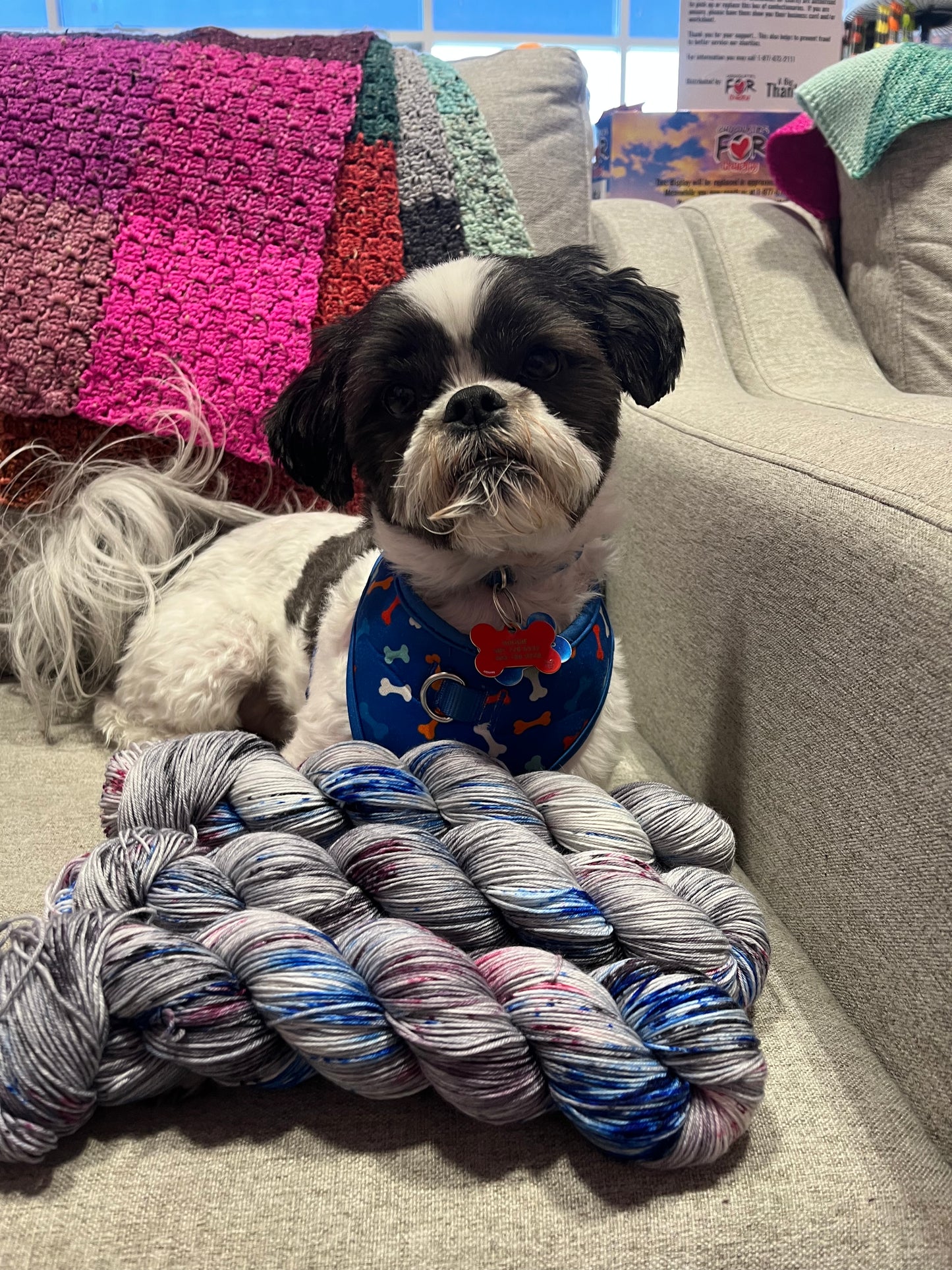 Auggie Fingering Yarn
