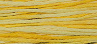 Sally's Sunshine 2218 Weeks Dye Works Cotton Floss