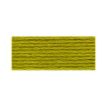 DMC 166- Medium Light Moss Green