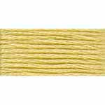 DMC 17- Light Yellow Plum