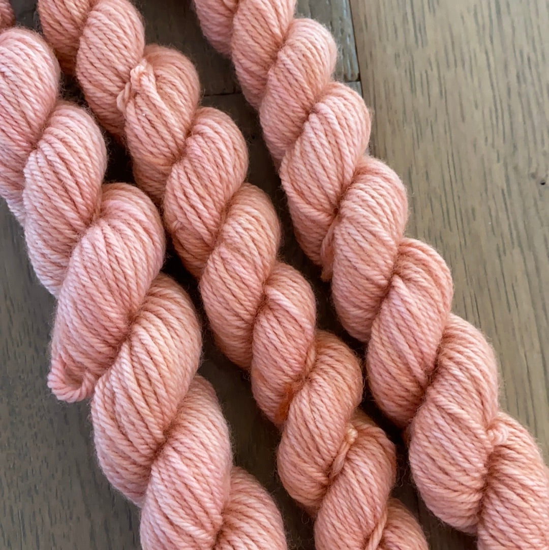 Mini Worsted Lobster Bisque Skein