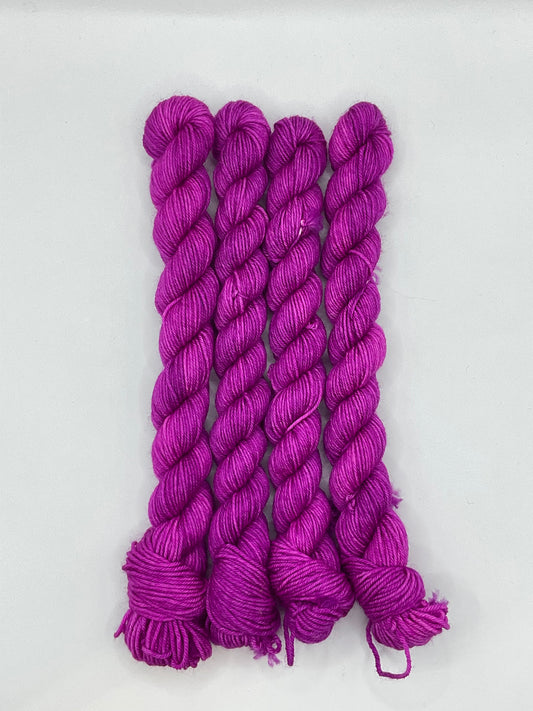 Mini Berry Crush Fingering Skein