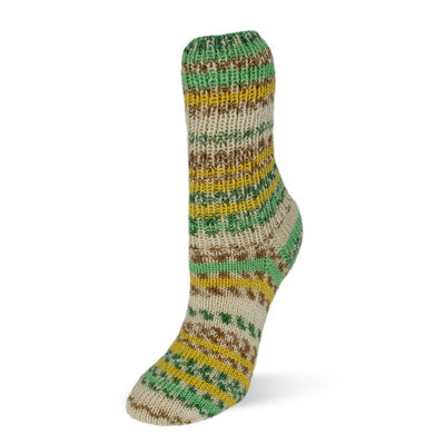 Flotte Socke Wool Free Yarn Color 1911