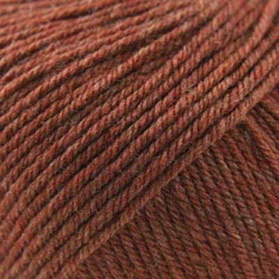 Cascade 220 Superwash - Pumpkin Spice  - (1920)