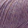 Cascade 220 Superwash -  iridescence - (362)