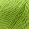 Cascade 220 Superwash - Wasabi (Color 887)