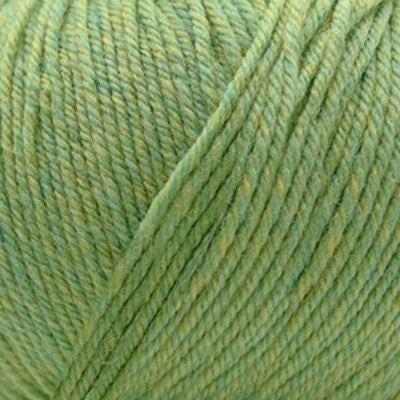 Cascade 220 Superwash -  Celery - (905)