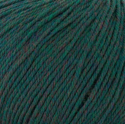 Cascade 220 Superwash - Rainforest Heather  - (386)