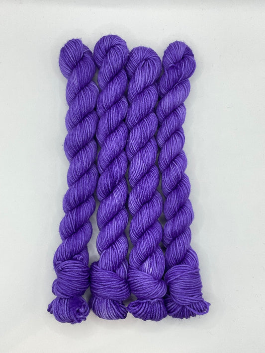 Mini Fingering Grape Skein