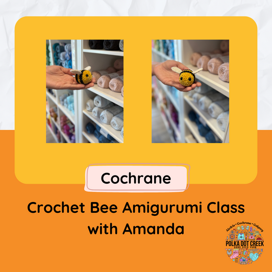 Amanda's Amigurumi Crochet Class - Cochrane