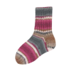 Flotte Sock 4 Ply Papagei