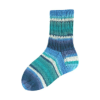 Flotte Sock 4 Ply Papagei