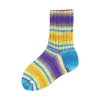 Flotte Sock 4 Ply Papagei