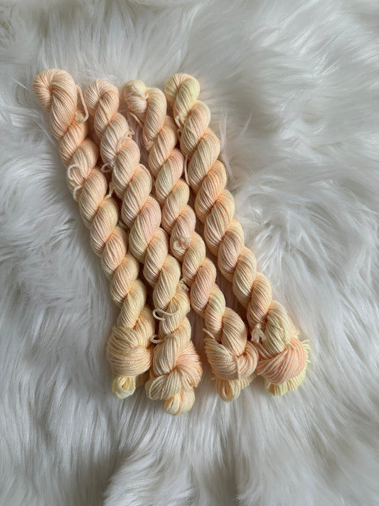 Mini MMF Paradise Fingering Skein