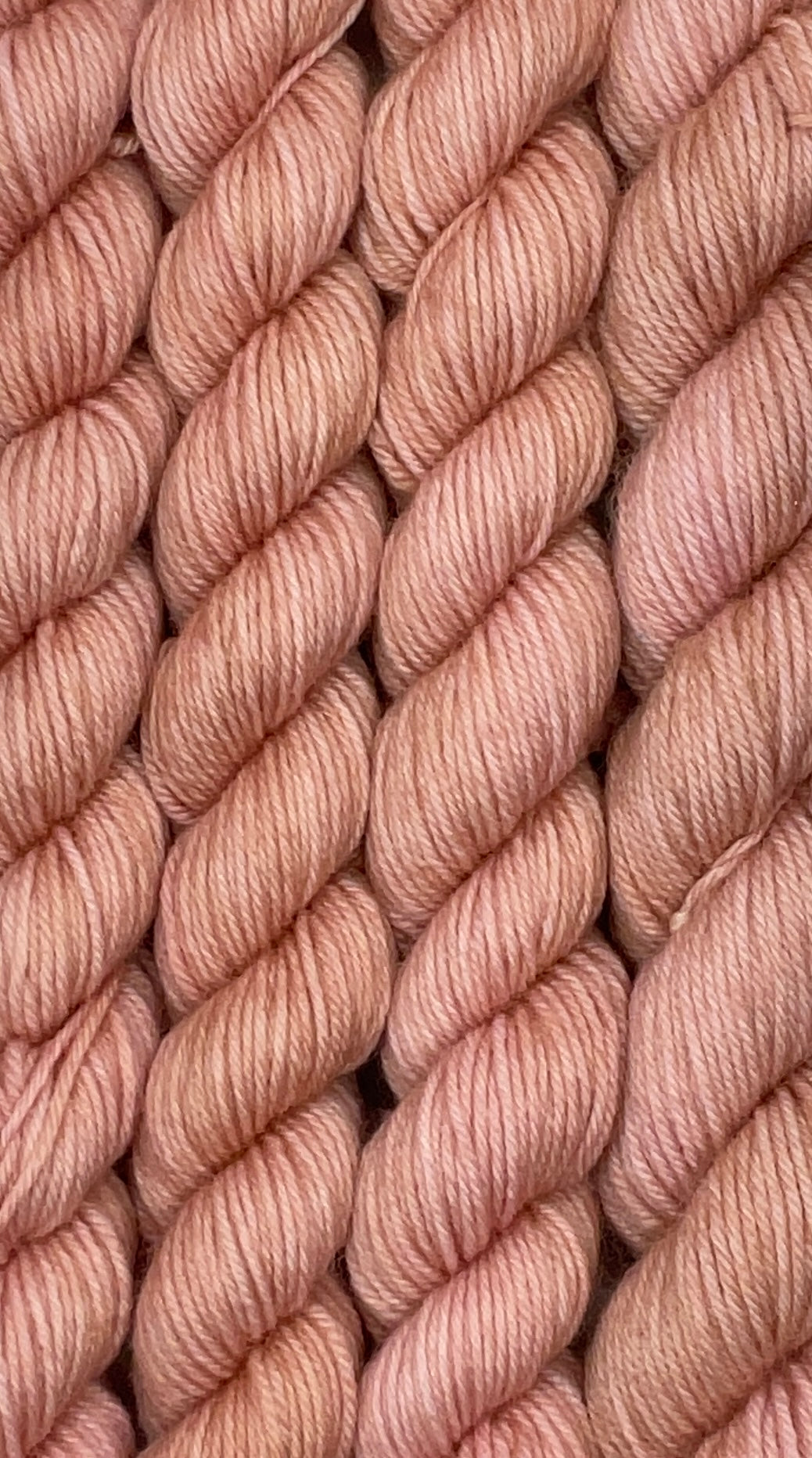 Mini Lobster Bisque Fingering Skein