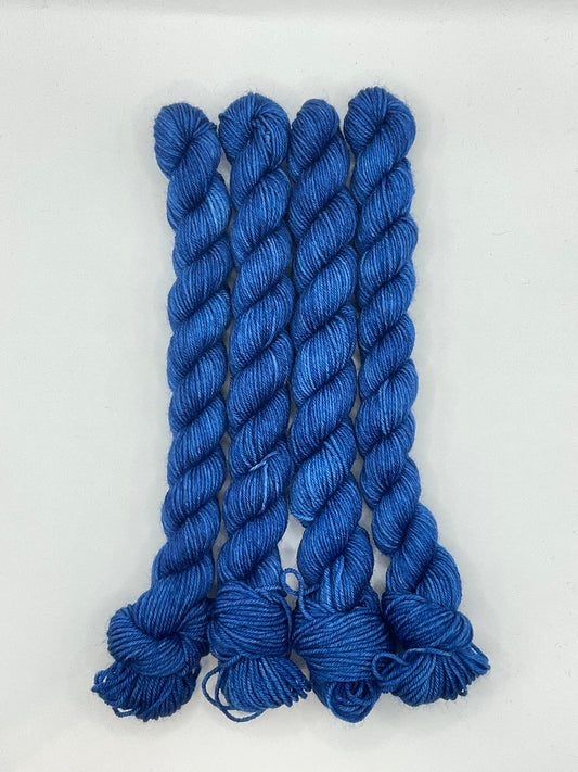 Mini Blueberry Fingering Skein