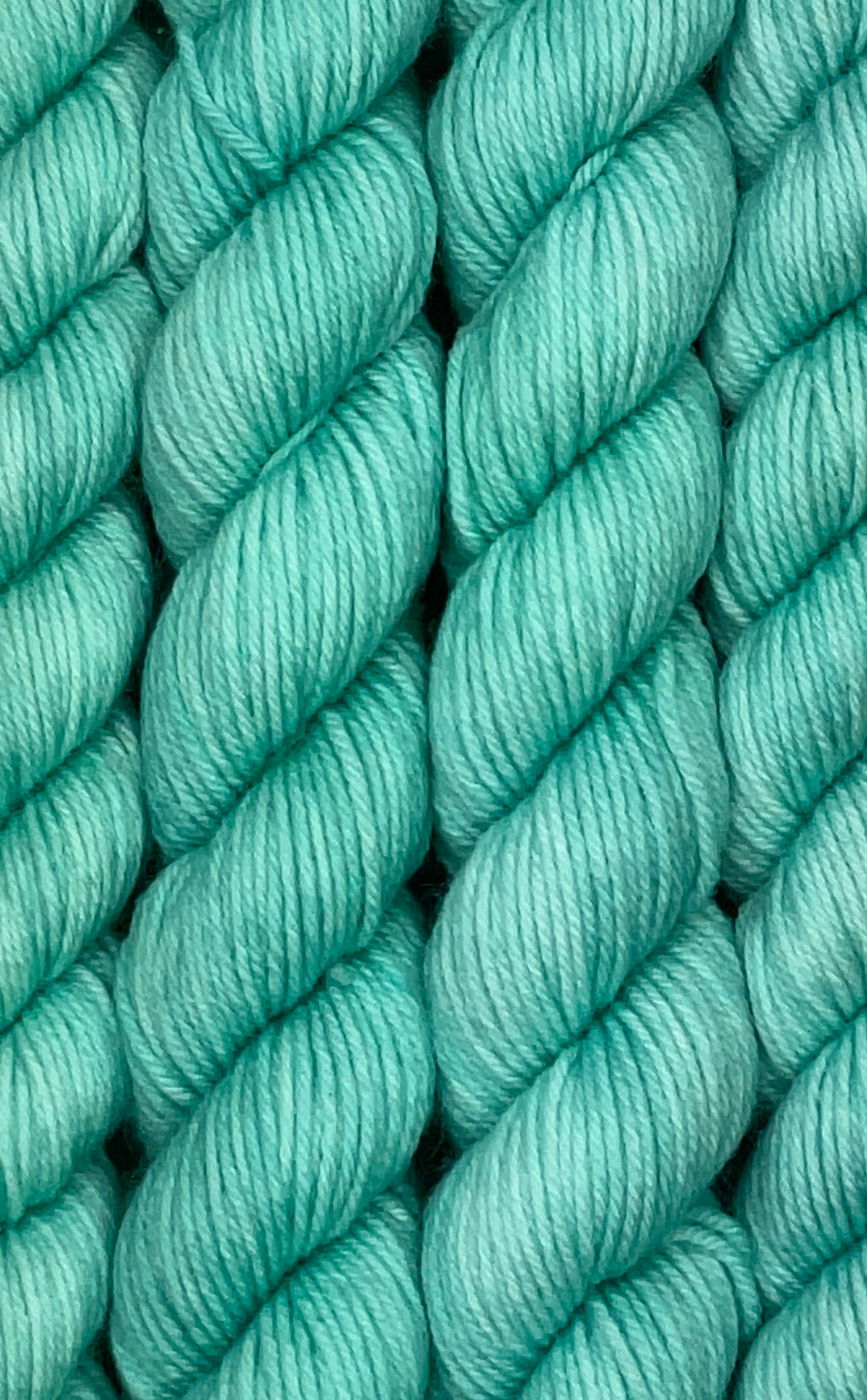 Mini Frost Fingering Skein