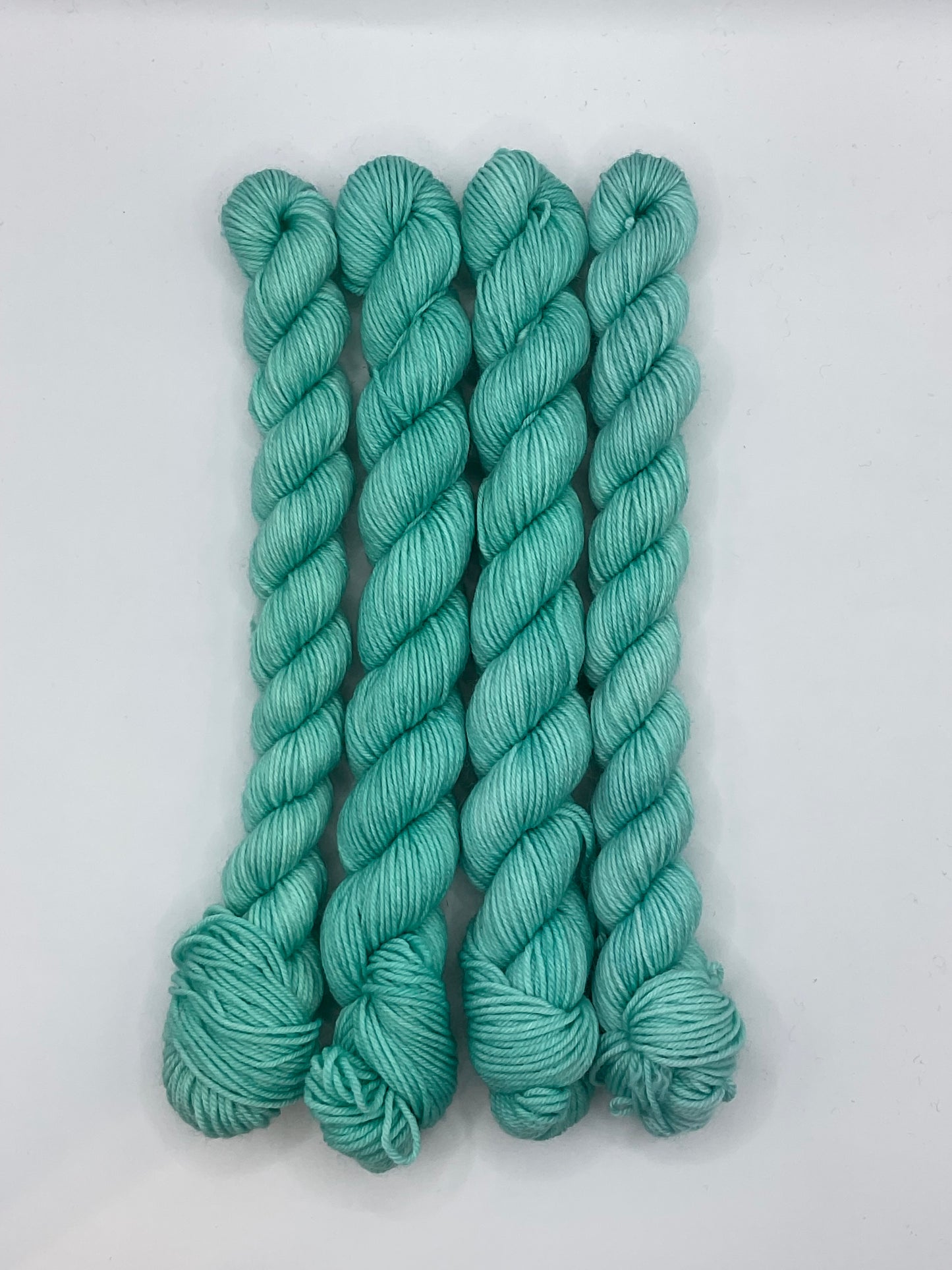 Mini Frost Fingering Skein