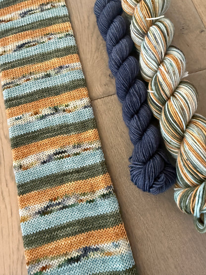 Winter Retreat Project bag and self striping sock set