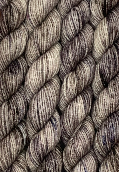 Mini Oatmeal Raisin Fingering  Skein