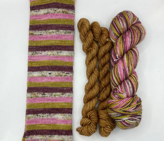 DK Bee's Knees Self striping Sock Set