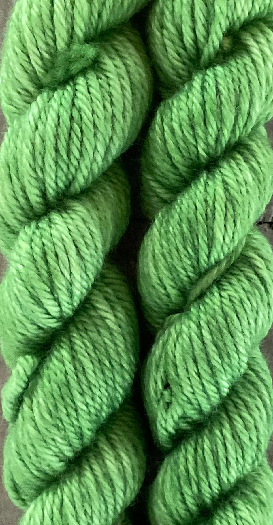 Mini Worsted Celery Skein