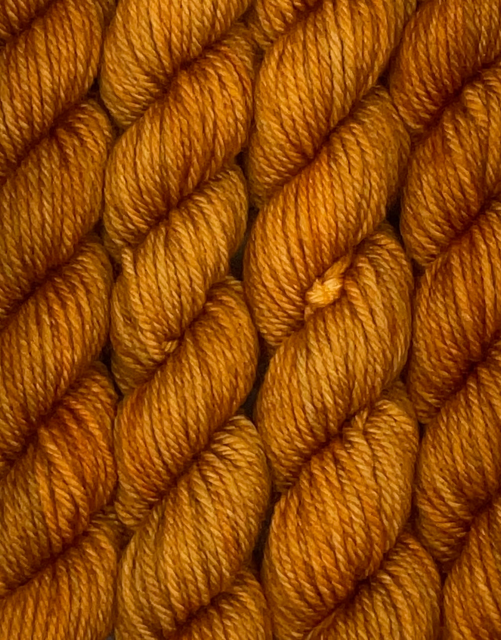 Mini DK Spice Skein