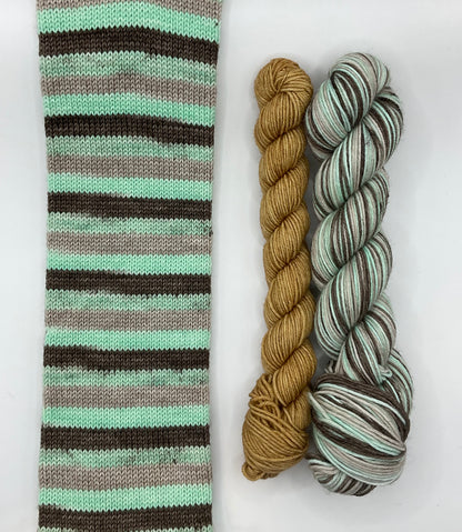 Mint Chocolate Chip Fingering Self-Striping Sock Set