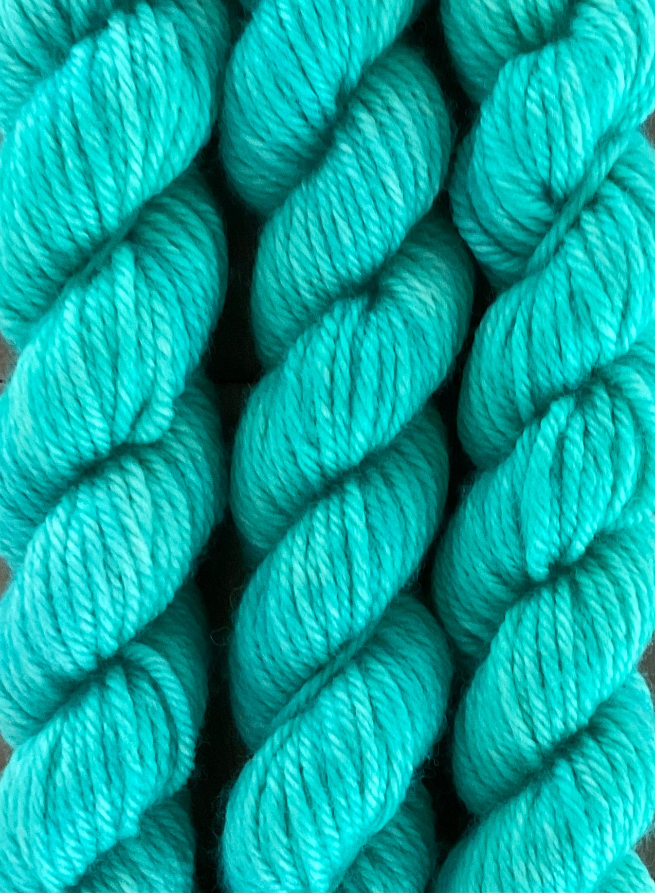 Mini Worsted Pool Skein
