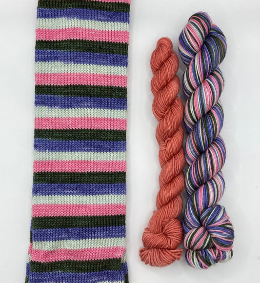 Plantrovert Fingering Self-Striping Sock Set