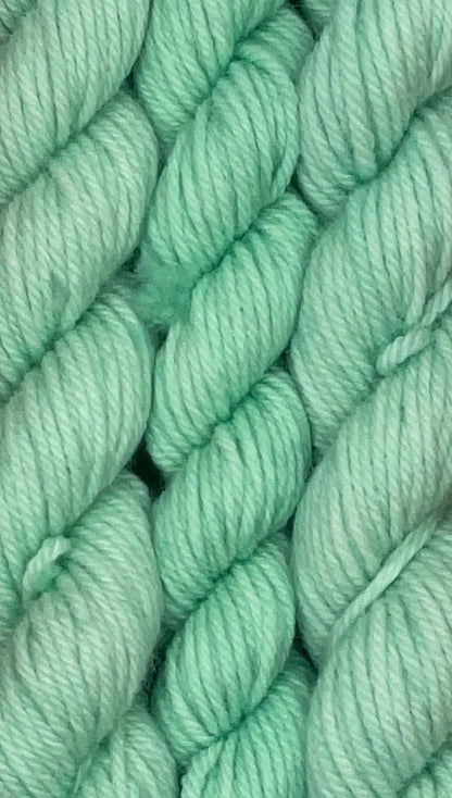 Mini DK Shamrock Shake Skein