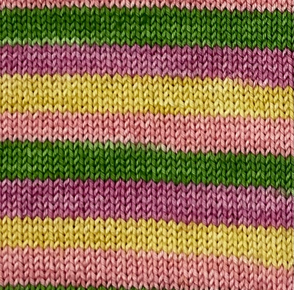 Tulip Festival Self Striping Sock Set