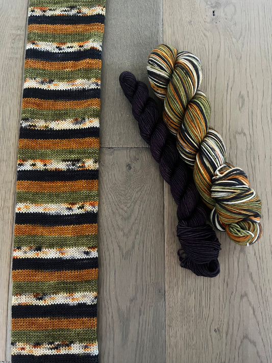 Salem 2025  Fingering Self Striping Sock Set