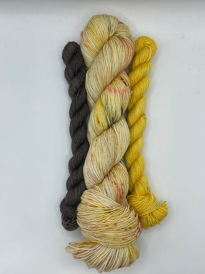 Sunflower Fingering Sock Set