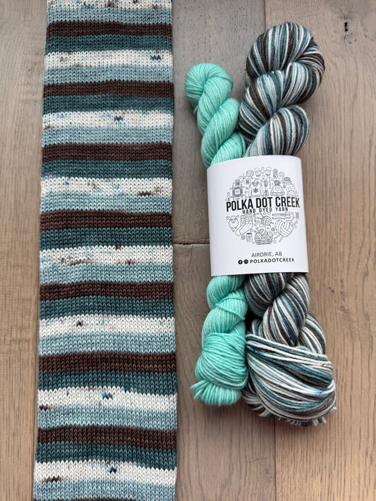 Dashing through the snow -January sock set of the month colorway