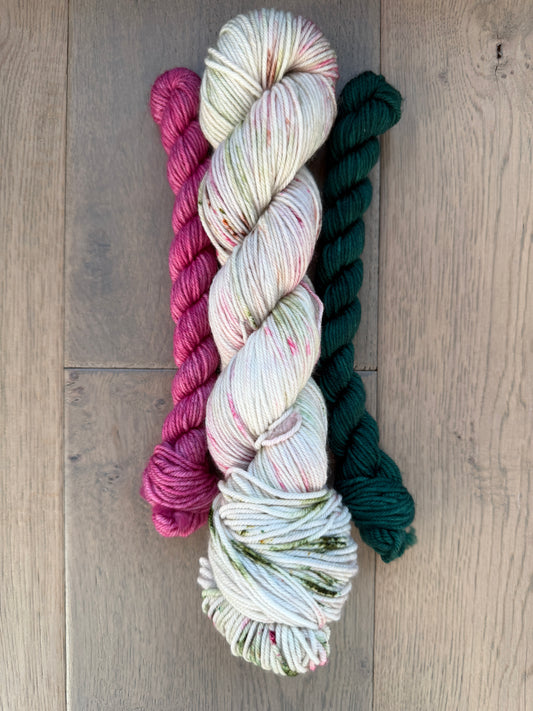 DK Woolly Winterland Sock Set