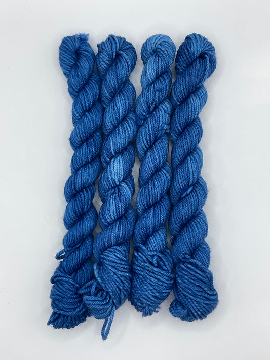 Mini DK Blueberry Skein