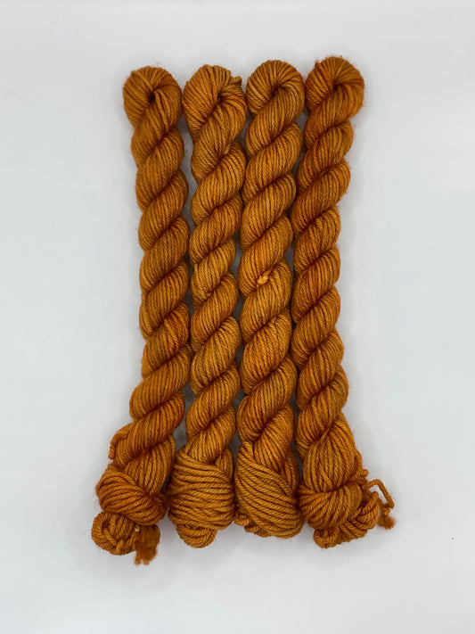 Mini DK Spice Skein