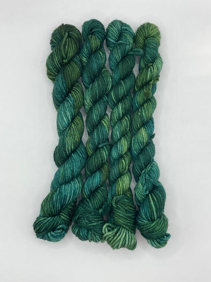 Mini DK Evergreen skein