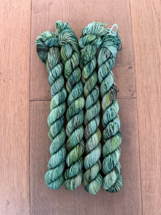 Mini  Frosty Forest Skein